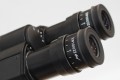  Mikroskop odwrócony Delta Optical IB-100 LED