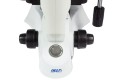  Mikroskop odwrócony Delta Optical IB-100 LED