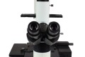  Mikroskop odwrócony Delta Optical IB-100 LED