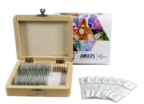  Zestaw preparatów biologicznych mikroskopowych  25szt. Delta Optical
