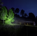 Latarka czołowa Fenix HM23 V2.0 300 lumenów AA 88 metrów